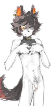 1boy animal_ears eirikr furry furry_male male_focus one_eye_covered original penis pubic_hair shota solo tail testicles white_background