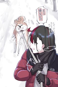 Rule 34 | 1girl, animal, black gloves, black hair, black scarf, bomber jacket, clenched teeth, commentary request, dog, gloves, grey eyes, highres, holding, holding leash, inago akira, jacket, jouhou, leash, long hair, long sleeves, multicolored hair, open clothes, open jacket, outdoors, red hair, red jacket, scarf, shiba inu, snow, solo, speech bubble, streaked hair, sweat, teeth, toji no miko, translation request, two-tone hair, v-shaped eyebrows, winter