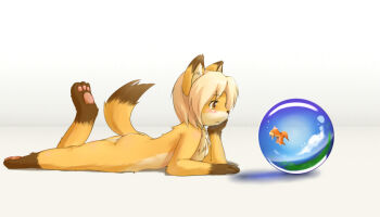 Rule 34 | 1girl, animal, animal ears, animal hands, ass, barefoot, blush, feet, female focus, fish, fox ears, fox tail, furry, furry female, gradient background, kagerofu, lying, nude, pawpads, soles, solo, tail