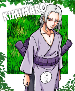 Rule 34 | 1boy, absurdres, arms at sides, bags under eyes, black pants, blue eyes, character name, commentary, facial mark, grass, grey hair, highres, hikimayu, japanese clothes, kaguya kimimaro, kimono, leaf, looking at viewer, medium hair, naruto (classic), naruto (series), north (zsae4358), outside border, pants, purple kimono, purple rope, rope, rope belt, yin yang