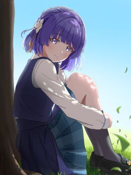 Rule 34 | 1girl, absurdres, arupaka (user tyju5482), black socks, blue overskirt, blue skirt, blue vest, commentary, falling leaves, gakuen idolmaster, grass, hataya misuzu, hatsuboshi gakuen school uniform, highres, hugging own legs, idolmaster, kneehighs, knees up, leaf, looking at viewer, looking to the side, mole, mole under mouth, on ground, outdoors, pleated skirt, purple hair, school uniform, short hair, sitting, skirt, skirt set, socks, solo, tree, vest