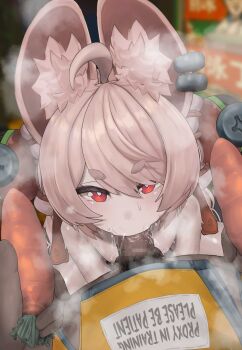 absurdres black_skin carrot censored colored_skin commentary fellatio highres interspecies large_penis loli nude oral osukareen penis precum size_difference steam sweat testicles veins veiny_penis zenless_zone_zero zhao_(zenless_zone_zero)