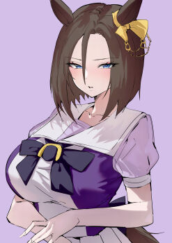 1girl absurdres air_groove_(umamusume) animal_ears black_bow black_bowtie blue_eyes bow bowtie breasts brown_hair commentary_request ear_ornament highres horse_ears horse_girl horseshoe_ornament katagiri_nanoka large_breasts looking_at_viewer multicolored_shirt pink_background purple_shirt sailor_collar school_uniform shirt short_hair short_sleeves simple_background solo tracen_school_uniform umamusume upper_body white_sailor_collar