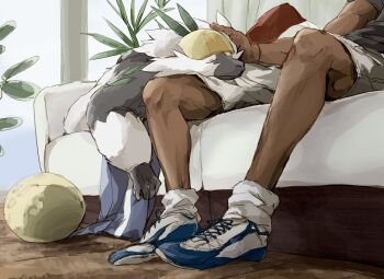 1other animal_focus black_shirt blue_shoes closed_eyes closed_mouth commentary_request couch dark_skin food fruit gen_7_pokemon grey_shorts hand_on_another&#039;s_head indoors lying monkey nintendo nyala_(nyala_766) on_couch passimian plant pokemon pokemon_(creature) pokemon_focus shirt shoelaces shoes shorts sitting socks solo_focus white_socks