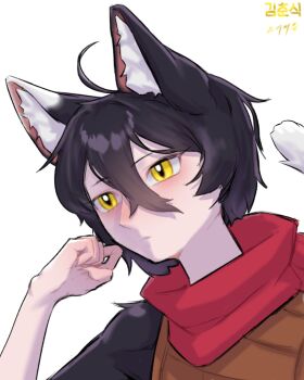 Rule 34 | 1girl, ahoge, animal ear fluff, animal ears, artist name, black hair, cat ears, cat girl, cat tail, commentary, dungeon meshi, english commentary, highres, izutsumi, kimchunsik, portrait, red scarf, scarf, short hair, simple background, slit pupils, solo, tail, white background, yellow eyes