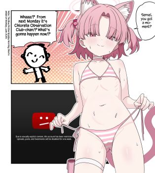 absurdres animal_ears aventador bikini blue_archive cat_ears cat_girl chlorella_observation_club_member_(blue_archive) doodle_sensei_(blue_archive) english_text flat_chest halo hard-translated highres loli pink_hair sensei_(blue_archive) string_bikini striped_bikini striped_clothes sweat swimsuit third-party_edit twintails youtube