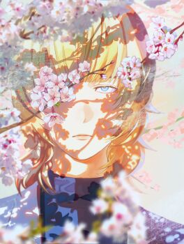 Rule 34 | 1boy, badeni, blonde hair, blue eyes, blue shirt, blunt bangs, blurry, blurry foreground, cherry blossoms, chi.: chikyuu no undou ni tsuite, closed mouth, commentary request, expressionless, flower, flower over eye, grey jacket, highres, jacket, male focus, medium hair, pink flower, shirt, solo, suit jacket, tamanae, upper body