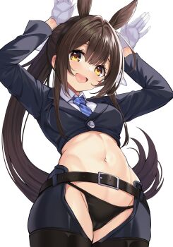 1girl animal_ears belt black_belt black_panties blue_necktie blush breasts brown_eyes brown_hair commentary_request cropped_jacket cropped_shirt crotchless crotchless_pants dreamlight2000 gloves hair_intakes highres horse_ears horse_girl long_sleeves looking_at_viewer medium_breasts midriff navel necktie open_mouth original panties pants ponytail shirt smile striped_clothes striped_necktie transparent_background underwear white_gloves white_shirt yellow_eyes