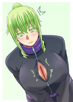 1girl axe934 breasts cleavage green_eyes green_hair highres large_breasts sweater tagme zipper