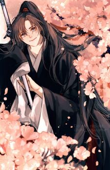 Rule 34 | 1boy, ahoge, aki uzuzame, bichen sword, bishounen, black hair, black hanfu, borrowed weapon, branch, brown hair, cherry blossoms, chinese clothes, closed mouth, commentary request, falling petals, flower, grey eyes, hair between eyes, hair ribbon, hand up, hanfu, high ponytail, highres, holding, holding sword, holding weapon, implied yaoi, in tree, jian (weapon), light particles, long hair, long sleeves, looking at viewer, male focus, modao zushi, parted bangs, petals, pink flower, pink petals, ponytail, red ribbon, ribbon, robe, sheath, sheathed, sitting, sleeves past wrists, smile, solo, sword, tree, twitter username, very long hair, watermark, weapon, wei wuxian, wide sleeves