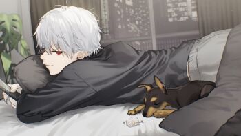 Rule 34 | 1boy, absurdres, black jacket, cityscape, commentary, dog, english commentary, fingernails, glass door, grey pants, hair between eyes, hashtag-only commentary, head on pillow, highres, holding, holding phone, indoors, jacket, kuzuha (1st costume) (nijisanji), kuzuha (nijisanji), long sleeves, looking at viewer, looking back, lying, male focus, mole, mole under eye, monstera deliciosa, nijisanji, on stomach, pants, phone, pillow, pointy ears, red eyes, saitou satoshi, sharp fingernails, short hair, solo, virtual youtuber, white hair
