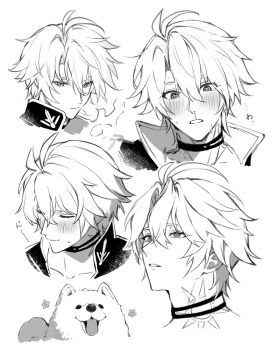 1boy animal antenna_hair blush choker closed_mouth collared_shirt commentary_request dog hair_between_eyes honkai:_star_rail honkai_(series) looking_up male_focus multiple_expressions multiple_views neck_tattoo parted_lips phainon_(honkai:_star_rail) popped_collar shike_(i_am_morafeti) shirt short_hair simple_background smile tattoo tongue tongue_out white_background