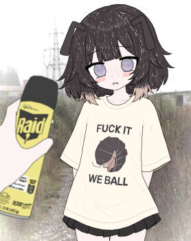 1girl 1other antennae arms_behind_back arthropod_girl black_skirt blunt_bangs blush brown_hair bug_spray center-flap_bangs clothes_writing collarbone colored_tips commentary day dot_nose english_commentary english_text eternalsoulrape freckles fuck_it_we_ball_(meme) highres holding holding_spray_can impending_doom looking_at_viewer medium_hair meme miniskirt multicolored_hair original outdoors overcast pillbug pillbug_girl pleated_skirt print_shirt purple_eyes shirt skirt skirt_peek sky solo_focus spray_can t-shirt yellow_shirt