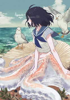 1girl 2others ahoge back_hair beach bird blue_eyes blue_sailor_collar cloud cloudy_sky day english_text hand_on_own_tentacles highres horizon looking_to_the_side monster_girl multiple_others navel neckerchief ocean original outdoors paper_texture sailor_collar sailor_shirt scientific_name seabird seagull shell shirt short_hair sitting sky solo_focus soramaru_ell suction_tentacles tentacles water