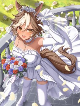 animal_ears artist_request bouquet bridal_veil brown_hair choker dark-skinned_female dark_skin dress elbow_gloves fang flower gloves grass high_heels horse_ears horse_girl horse_tail jewelry multicolored_hair necklace rose tail thighhighs tiara tomoe_umari two-tone_hair veil wedding_dress white_choker white_dress white_gloves white_hair white_thighhighs yellow_eyes zettai_ryouiki