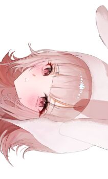 1girl animal_ears animal_hood blush brown_hair danganronpa_(series) danganronpa_2:_goodbye_despair dodong-i highres hood looking_at_viewer medium_hair nanami_chiaki pink_eyes pout rabbit_ears rabbit_hood sideways simple_background solo white_background