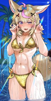 absurdres animal_ears beach bikini blonde_hair blush breasts club_(shape) coconut_tree diamond_(shape) facial_mark fox_ears fox_girl fox_tail gold_bikini hair_ornament hair_ribbon heart highres holding holding_bikini holding_bikini_top hololive in_water large_breasts navel ocean omaru_polka palm_tree pink_hair purple_eyes ribbon spade_(shape) swimsuit tail tree virtual_youtuber