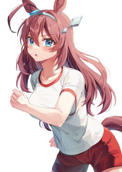 Rule 34 | 1girl, absurdres, ahoge, animal ears, blue eyes, blush, breasts, brown hair, commentary request, grey hairband, gym shirt, hair between eyes, hairband, highres, horse ears, horse girl, horse tail, large breasts, long hair, looking at viewer, mihono bourbon (umamusume), parted lips, red shorts, shirt, short sleeves, shorts, silver hairband, simple background, solo, tail, tracen training uniform, umamusume, white background, white shirt, yoru usagi