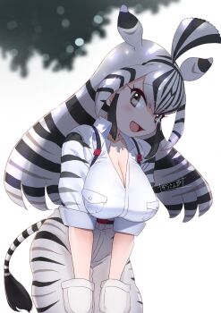 1girl absurdres animal_ears animal_print black_hair blush breasts chapman&#039;s_zebra_(kemono_friends) cleavage extra_ears highres kemono_friends kemono_friends_3 large_breasts long_hair long_sleeves looking_at_viewer masuyama_ryou multicolored_hair open_mouth shirt shorts smile solo striped_hair tail two-tone_hair white_hair zebra_ears zebra_girl zebra_print zebra_tail