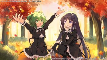 2girls :d antenna_hair arm_on_thigh arms_up assault_lily autumn autumn_leaves black_hair black_ribbon black_shoes black_skirt black_thighhighs buttons commentary_request copyright_notice cropped_jacket day falling_leaves feet_out_of_frame fingernails frilled_skirt frills ginkgo_leaf green_eyes green_hair green_thighhighs hair_ribbon hand_on_own_cheek hand_on_own_face hand_up high-waist_skirt highres jewelry juliet_sleeves kneeling leaf leg_ribbon loafers long_hair long_sleeves looking_at_another looking_at_object looking_up maple_leaf multiple_girls neck_ribbon official_art open_mouth outdoors outstretched_arms parted_lips puffy_sleeves purinpurin purple_eyes ribbon ring school_uniform shirai_yuyu shirt shoes short_hair sidelocks skirt smile squatting striped_clothes striped_thighhighs thigh_ribbon thighhighs tree two_side_up very_long_hair white_shirt yellow_ribbon yellow_thighhighs yoshimura_thi_mai yurigaoka_girls_academy_school_uniform