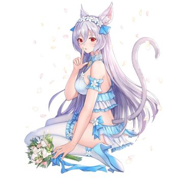 1girl animal_ear_fluff animal_ears arm_garter artist_request bikini blue_bikini blue_headband blue_ribbon blue_shoes bouquet bridal_swimsuit bride cat_ears cat_girl cat_tail commentary commentary_request english_commentary facing_to_the_side falling_petals finger_to_mouth flower footwear_flower frilled_bikini frilled_thighhighs frills full_body grey_fur grey_hair hair_between_eyes hair_flower hair_ornament hand_up headband high_heels king's_raid kirze korean_commentary long_hair looking_at_viewer mixed-language_commentary multicolored_bikini nontraditional_wedding_dress official_alternate_costume official_art petals pink_flower red_eyes ribbon second-party_source shoes simple_background sitting solo strappy_heels swimsuit tail tail_raised thighhighs very_long_hair wariza white_background white_bikini white_flower white_thighhighs