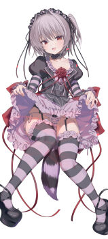 1girl absurdres blush choker clothes_lift commentary_request dress dress_lift fang flat_chest flower frilled_choker frilled_panties frilled_thighhighs frills garter_belt garter_straps gothic_lolita grey_hair hapymaher highres juliet_sleeves lifting_own_clothes lolita_fashion long_sleeves looking_at_viewer naitou_maia open_mouth orange_eyes panties puffy_sleeves red_flower red_rose rose short_hair side-tie_panties slit_pupils smile solo striped_clothes striped_thighhighs tail thighhighs underwear yuiitsu