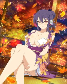 1girl architecture autumn autumn_leaves blue_flower blue_gemstone blush body_blush breasts cleavage collarbone east_asian_architecture falling_leaves floral_print floral_print_kimono flower flower_request folded_ponytail gem glasses hair_between_eyes hair_flower hair_ornament highres japanese_clothes kimono large_breasts leaf light_particles looking_at_viewer mole mole_on_breast obi obijime official_art panties pink_flower print_kimono purple_hair purple_kimono red-framed_eyewear red_eyes red_flower rin_(senran_kagura) sash senran_kagura senran_kagura_burst senran_kagura_new_wave shiny_skin sidelocks sitting smile solo sparkle tatami torn_clothes torn_kimono tree underwear white_flower white_panties