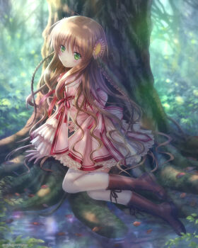 1girl ahoge boots braid brown_boots brown_hair commentary_request dress flower forest frills goto_p green_eyes hair_between_eyes hair_flower hair_ornament highres kanbe_kotori kazamatsuri_institute_high_school_uniform key_(company) kneehighs leaf long_hair long_sleeves looking_at_viewer nature open_mouth pink_flower plant_roots puddle rewrite ribbon school_uniform socks solo sunlight tree twin_braids very_long_hair