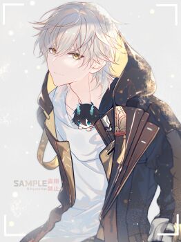 1boy aqueasirius artist_name black_coat black_hair blue_eyes blush_stickers caelus_(honkai:_star_rail) character_doll closed_mouth coat collarbone dan_heng_(honkai:_star_rail) dan_heng_(permansor_terrae)_(honkai:_star_rail) doll dragon_boy dragon_horns empty_eyes eyeliner grey_background grey_hair hair_between_eyes highres honkai:_star_rail honkai_(series) hood hooded_coat horns lapels long_sleeves looking_at_viewer makeup male_focus no_mouth open_clothes open_coat red_eyeliner sample_watermark shirt short_hair simple_background smile solo t-shirt trailblazer_(honkai:_star_rail) two-sided_coat two-sided_fabric viewfinder watermark white_shirt yellow_coat yellow_eyes