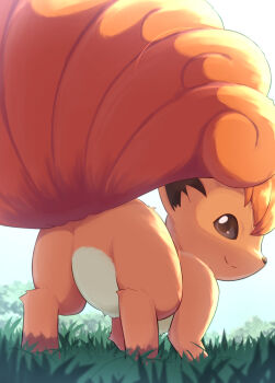 animal_focus brown_eyes closed_mouth curled_tail fox from_behind gen_1_pokemon highres looking_at_viewer looking_back multiple_tails nintendo no_humans on_grass outdoors pokemon pokemon_(creature) pokemon_focus red_fur rumine_(yoshi1234567) smile solo tail tail_raised vulpix white_background white_fur