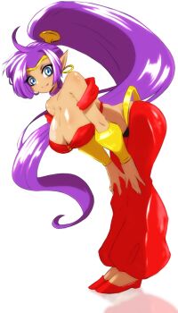 1girl blue_eyes breasts cleavage commentary dark-skinned_female dark_skin english_commentary highres hudie_jun large_breasts long_hair looking_at_viewer pointy_ears ponytail purple_hair shantae shantae_(series) smile solo very_long_hair
