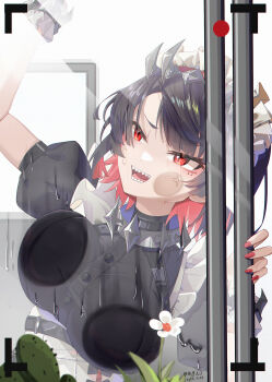 1girl absurdres against_glass anger_vein arm_up black_dress black_hair breast_press breasts cactus cleaning cleaning_windows colored_inner_hair commentary_request dated dress ellen_joe flower frilled_wristband hairband highres large_breasts maid_headdress metal_hairband mole mole_under_eye multicolored_hair open_mouth razor_blade_hair_ornament recording red_eyes red_nails shark_girl sharp_teeth short_hair solo spiked_headband suyujiu_u sweat teeth upper_body white_flower window zenless_zone_zero