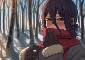 1girl absurdres bare_tree black_gloves black_hair blue_sky blush chainsaw_man coat fur-trimmed_sleeves fur_trim gloves green_eyes grey_coat hair_between_eyes hair_bun highres looking_at_viewer matomo morning outdoors red_scarf reze_(chainsaw_man) scarf scarf_over_mouth sky snow solo tree winter_clothes