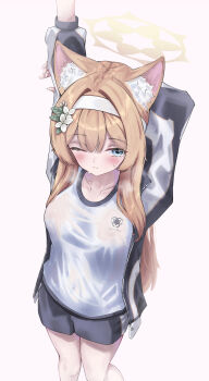 1girl absurdres animal_ear_fluff animal_ears arms_behind_head arms_up auroraescientia black_shorts blue_archive blue_eyes blunt_bangs blush breasts cat_ears cat_girl closed_mouth collarbone commentary eyelashes feet_out_of_frame flower foreshortening from_above gym_shirt gym_uniform hair_flower hair_intakes hair_ornament hairband highres jacket leaf_hair_ornament long_hair long_sleeves looking_at_viewer mari_(blue_archive) mari_(track)_(blue_archive) medium_breasts official_alternate_costume one_eye_closed open_clothes open_jacket orange_hair see-through_clothes see-through_shirt shirt shorts simple_background solo split_mouth stretching sweat track_jacket trinity_general_school_logo upturned_eyes very_long_hair wet wet_clothes wet_shirt white_background white_flower white_hairband white_shirt zipper