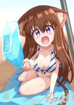 1girl alternate_costume animal_ears beach bikini blush breasts breasts_day brown_hair cat_ears collarbone commentary_request food good_breasts_day highres incoming_food matty_(matsutomo) medium_breasts open_mouth original popsicle purple_eyes reaching reaching_towards_viewer signature solo swimsuit wet