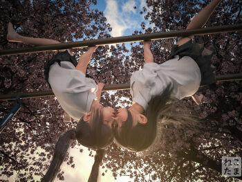 2girls 3d cherry_blossoms highres imminent_kiss kiss long_hair multiple_girls nekotamamofu original pleated_skirt scenery school school_uniform skirt twintails upside-down upside-down_kiss yuri