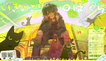 1boy bag black_cat black_hair black_jacket cat diandian_quan highres hood hooded_jacket jacket looking_at_viewer male_focus mashiro_meme mashiro_meme_(3rd_costume) multicolored_hair nijisanji official_alternate_costume open_clothes open_jacket plastic_bag qr_code shirt short_hair sitting solo streaked_hair striped_clothes striped_shirt twitter virtual_youtuber washing_machine watermark youtube