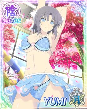 Rule 34 | 1girl, arm behind head, arm up, armpit crease, armpits, arms up, bikini, blue bikini, blue eyes, blue skirt, border, bow, breasts, card (medium), character name, closed mouth, day, falling petals, game cg, gluteal fold, grey hair, groin, hair bow, hand on own arm, large breasts, light frown, looking at viewer, medium hair, navel, official alternate costume, official art, petals, pink petals, polka dot, polka dot bikini, senran kagura, senran kagura new wave, skindentation, skirt, solo, stretching, striped bow, swimsuit, swimsuit skirt, third-party source, tree, white bow, yumi (senran kagura)