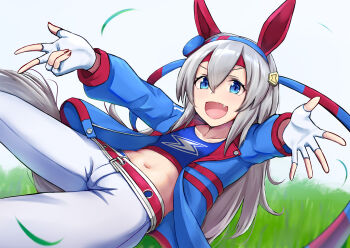 1girl animal_ears belt blue_eyes blue_hairband blue_jacket blue_sports_bra blush breasts ear_covers fang fingerless_gloves garugarubesu gloves grass grey_hair grey_tail hair_between_eyes hairband headband highres horse_ears horse_girl horse_tail jacket lightning_bolt_print lightning_bolt_symbol long_hair long_sleeves midriff multicolored_hairband navel open_mouth pants red_belt red_headband small_breasts smile sports_bra striped_clothes striped_hairband tail tamamo_cross_(fast_as_lightning)_(umamusume) tamamo_cross_(umamusume) two-tone_hairband umamusume very_long_hair w white_gloves white_pants