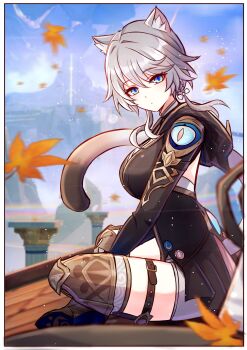 1girl absurdres animal_ears autumn_leaves blue_eyes boots breasts cat_ears cat_girl cat_tail cipher_(honkai:_star_rail) gold_boots highres honkai:_star_rail honkai_(series) hood hood_down jimpu6 large_breasts leaf looking_at_viewer short_hair solo tail