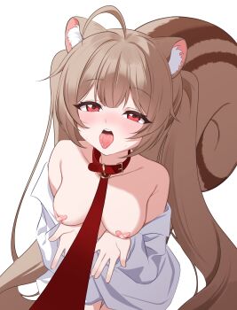 1girl absurdres ahoge animal_collar animal_ears areola_slip bandaid bandaids_on_nipples breasts brown_hair buckle character_request collar commentary_request copyright_request crossed_bandaids double-parted_bangs hands_up highres korean_commentary large_breasts large_variant_set leash long_hair long_sleeves looking_at_viewer nya_po open_hands open_mouth pasties pov red_collar red_eyes shirt shirt_partially_removed simple_background solo squirrel_ears squirrel_girl squirrel_tail sweat tail tongue tongue_out twintails variant_set very_long_hair virtual_youtuber white_background white_shirt