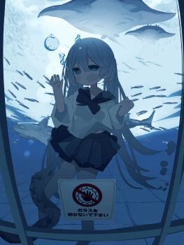 1girl :t afk_0831 against_glass air_bubble aquarium blue_hair blue_sailor_collar blue_skirt bubble cheek_on_glass cheek_squash eel hashtag-only_commentary hatsune_miku highres long_hair manta_ray sailor_collar school_of_fish school_uniform serafuku shark shirt sign skirt solo twintails underwater vocaloid warning_sign white_shirt