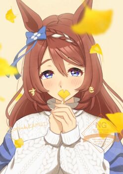 1girl alternate_costume animal_ears blue_bow blue_eyes blue_shawl blurry blurry_foreground bow braid brown_background cable_knit commentary_request covering_own_mouth falling_leaves ginkgo_leaf hair_between_eyes hair_bow holding holding_leaf horse_ears horse_girl leaf long_hair long_sleeves multicolored_hair oekakikamui shawl simple_background solo streaked_hair super_creek_(umamusume) sweater turtleneck turtleneck_sweater umamusume upper_body white_hair white_sweater