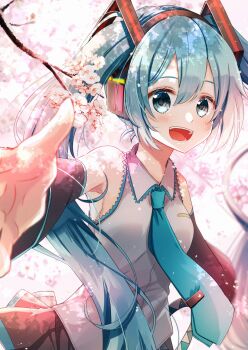 1girl aqua_eyes aqua_hair aqua_necktie aqua_trim black_skirt blush breasts cherry_blossoms collared_shirt commentary detached_sleeves hair_between_eyes hair_ornament hatsune_miku headset highres long_hair long_sleeves looking_at_viewer medium_breasts miku_day necktie open_mouth pleated_skirt reaching reaching_towards_viewer shigure0730 shirt skirt sleeveless sleeveless_shirt smile solo symbol-only_commentary twintails very_long_hair vocaloid white_shirt