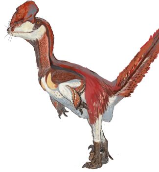 absurdres animal_focus claws comb_(chicken) deinonychus dinosaur feathered_dinosaur feathered_wings highres jurassic_world mossacannibalis no_humans prehistoric_animal raptor talons white_background wings