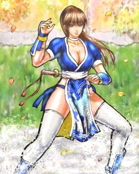 1girl absurdres breasts dead_or_alive highres kasumi_(doa) large_breasts long_hair solo