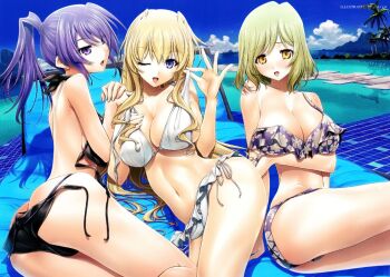 3girls beach bikini blonde_hair blue_eyes green_hair helgarose_von_falkenmayer ilfriede_von_feulner long_hair lunateresia_von_wizleben multiple_girls muv-luv muv-luv_alternative open_mouth palm_tree ponytail purple_eyes purple_hair short_hair smile swimsuit tagme the_euro_front tree yellow_eyes