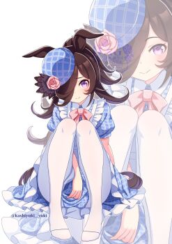1girl animal_ears blue_dress blush bow bowtie brown_hair closed_mouth commentary_request dress flipped_hair flower frills hair_over_one_eye hat hat_flower highres hokuyukis horse_ears horse_girl horse_tail long_hair looking_at_viewer pantyhose pink_bow pink_bowtie pink_flower pink_rose purple_eyes rice_shower_(umamusume) rose short_hair short_sleeves simple_background smile solo tail tilted_headwear umamusume white_background white_pantyhose zoom_layer