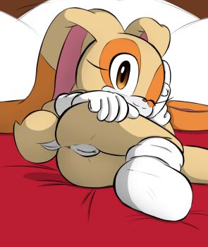 1girl anus cleft_of_venus cream_the_rabbit female_focus furry gloves highres loli looking_at_viewer nude on_bed one_eye_closed pussy sega sock solo sonic_(series) sonic_(series) uncensored