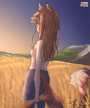1girl animal_ears arm_up artist_name blue_sky breasts brown_hair commentary cowboy_shot dated english_commentary from_behind gradient_sky highres holding_wheat holo long_hair looking_ahead messy_hair mountainous_horizon nipples no_shirt nyaxxy orange_sky outdoors signature sketch sky small_breasts solo spice_and_wolf standing sweat tail very_sweaty watermark wheat_field wolf_ears wolf_girl wolf_tail